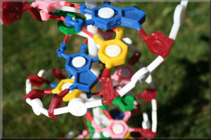 DNA Model