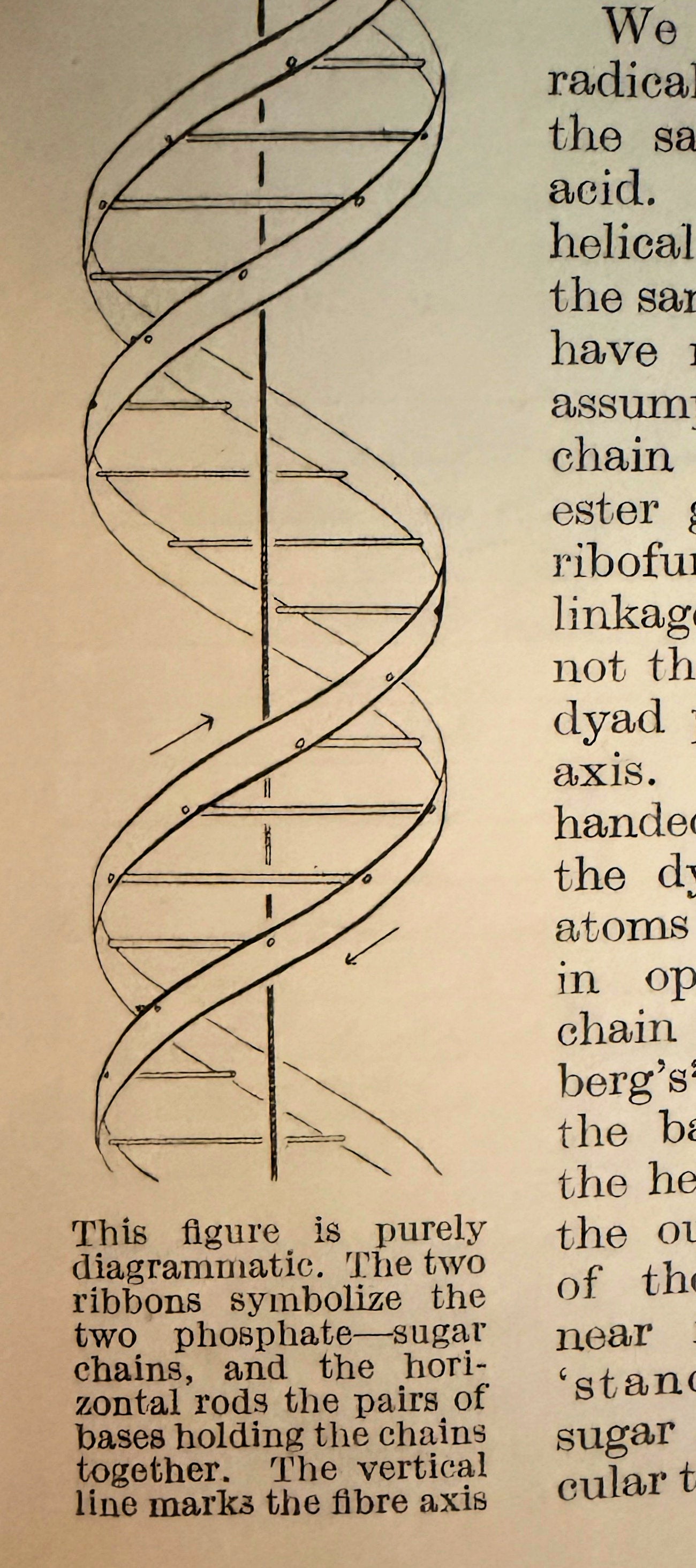 Original DNA Articles in Nature Magazine