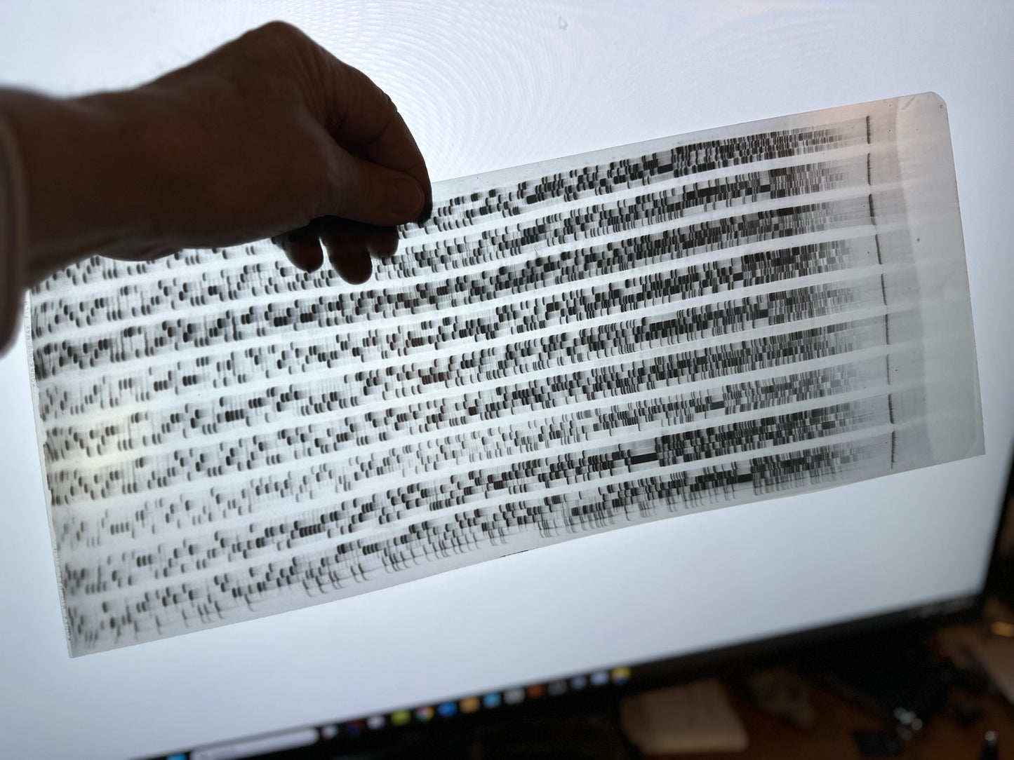 Human Genome Project: Gel Electrophoresis