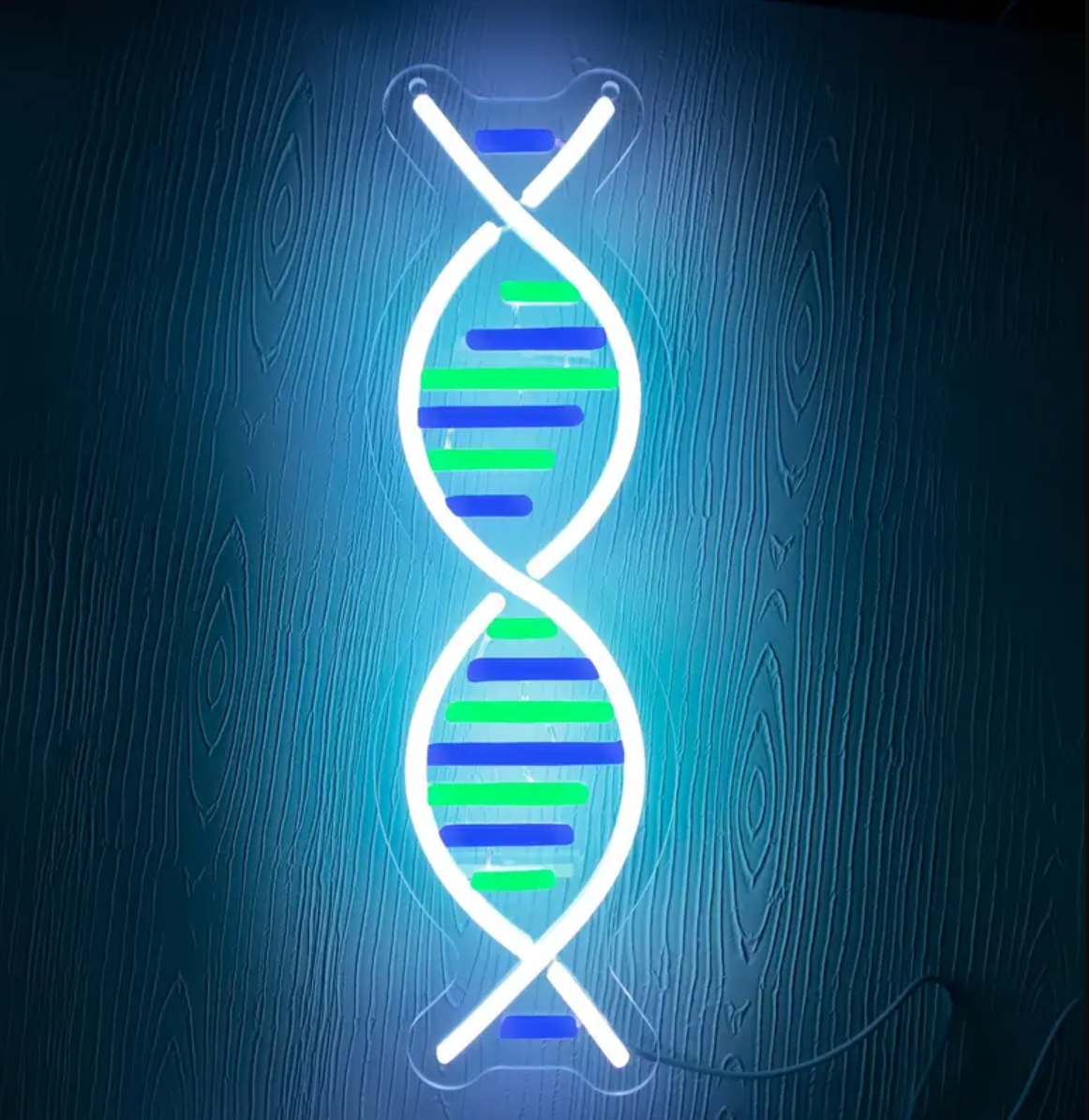 DNA Double Helix Neon Sign