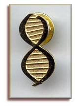 Traditional DNA Pin