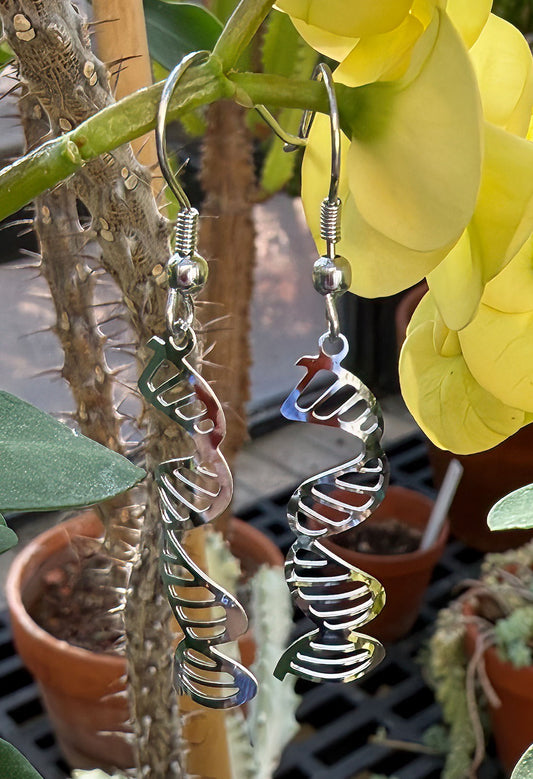 DNA Earrings