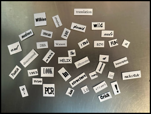 Flex Word Magnets