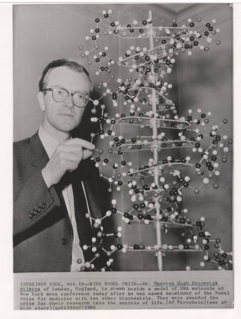 Maurice Wilkins News Photo