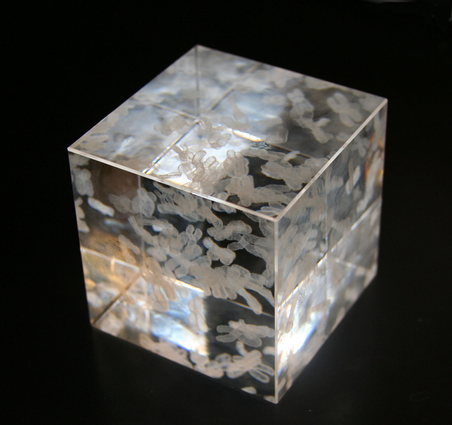 Human Chromosome Cube