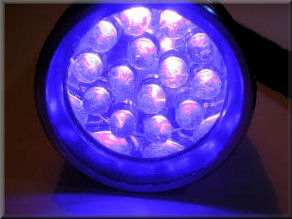 14 LED Black Light