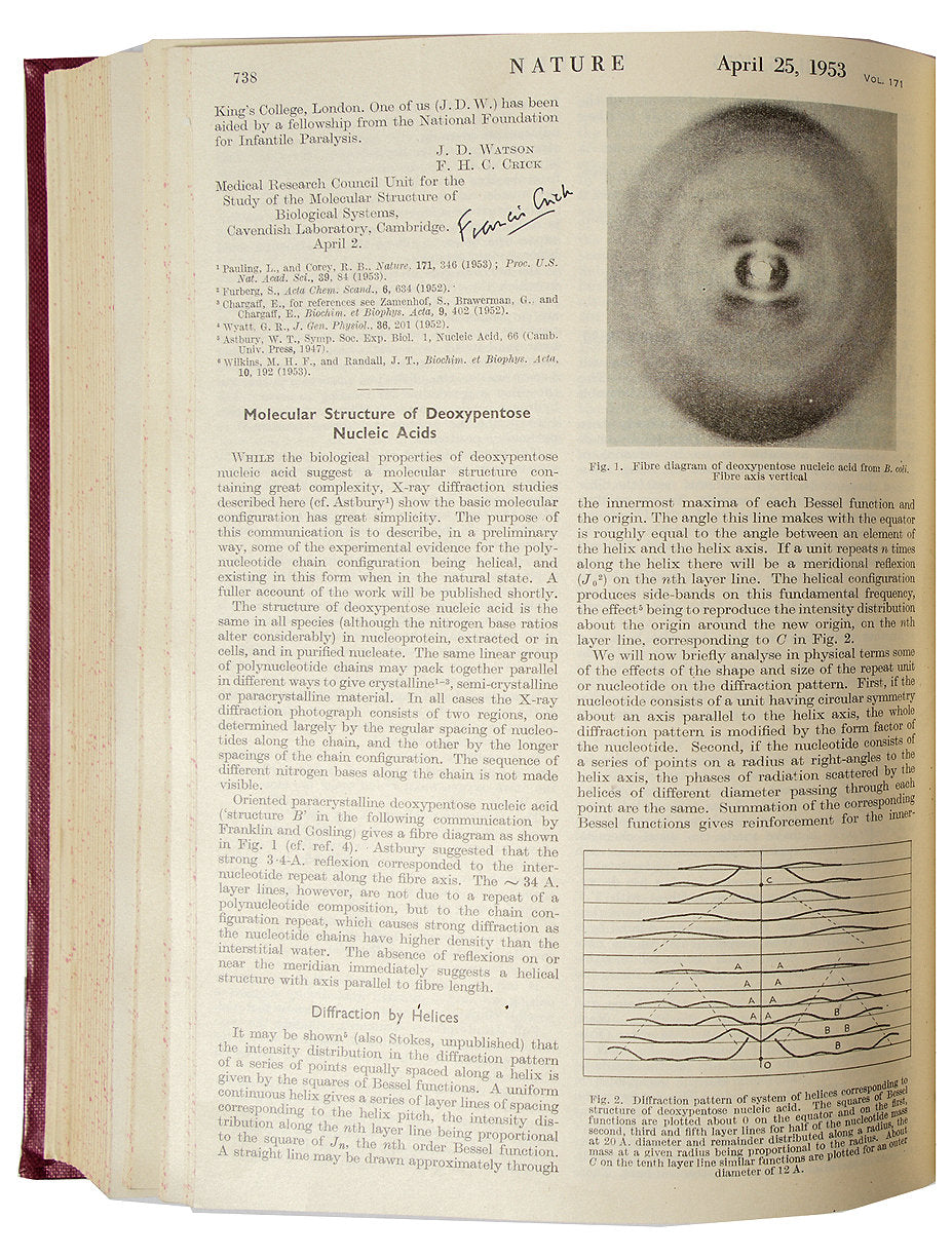 Francis Crick Twice-Signed Copy of ''Nature'' from 1953, the First Offprint of His Articles Announcing the Discovery of DNA