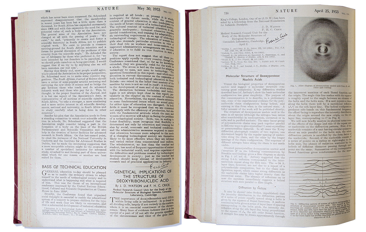 Francis Crick Twice-Signed Copy of ''Nature'' from 1953, the First Offprint of His Articles Announcing the Discovery of DNA