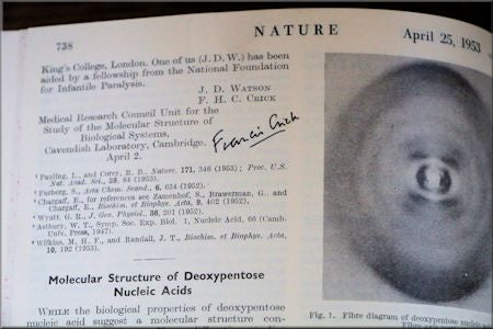 Francis Crick Twice-Signed Copy of ''Nature'' from 1953, the First Offprint of His Articles Announcing the Discovery of DNA