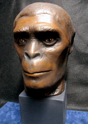 Bust of Primitive Man