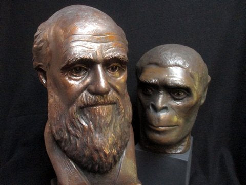 Bust of Primitive Man