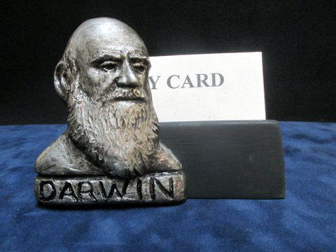 Darwin Card Holder