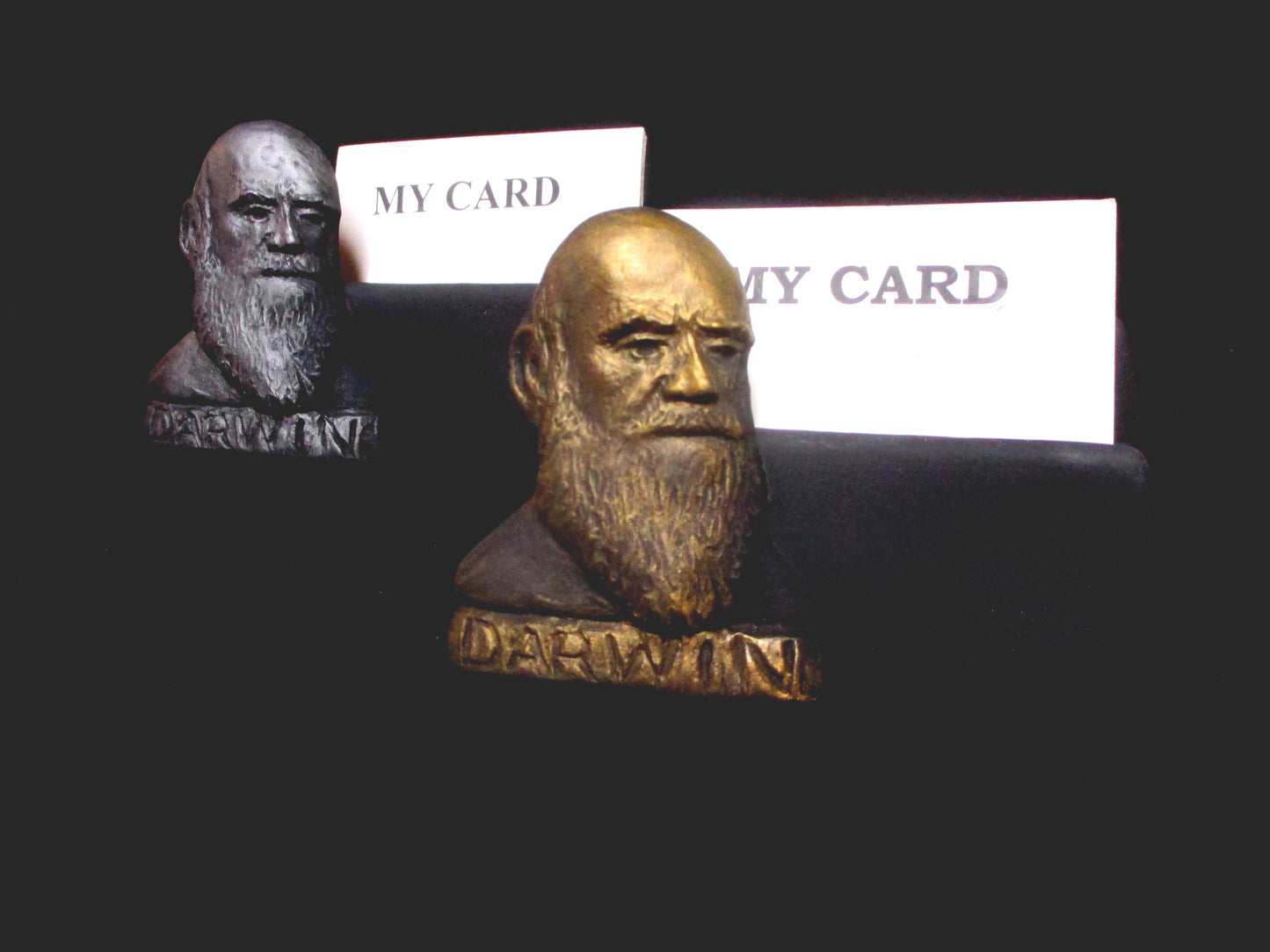 Darwin Card Holder