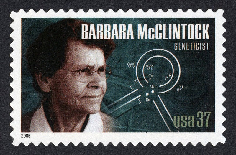 American Scientists Barbara McClintock 37c single (1 stamp) MNH 2005