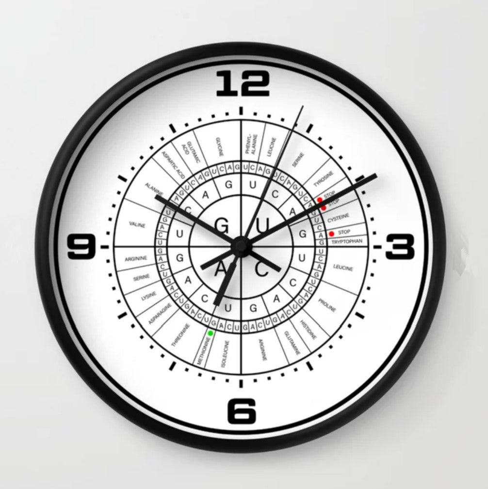 mRNA CODON WHEEL Clock