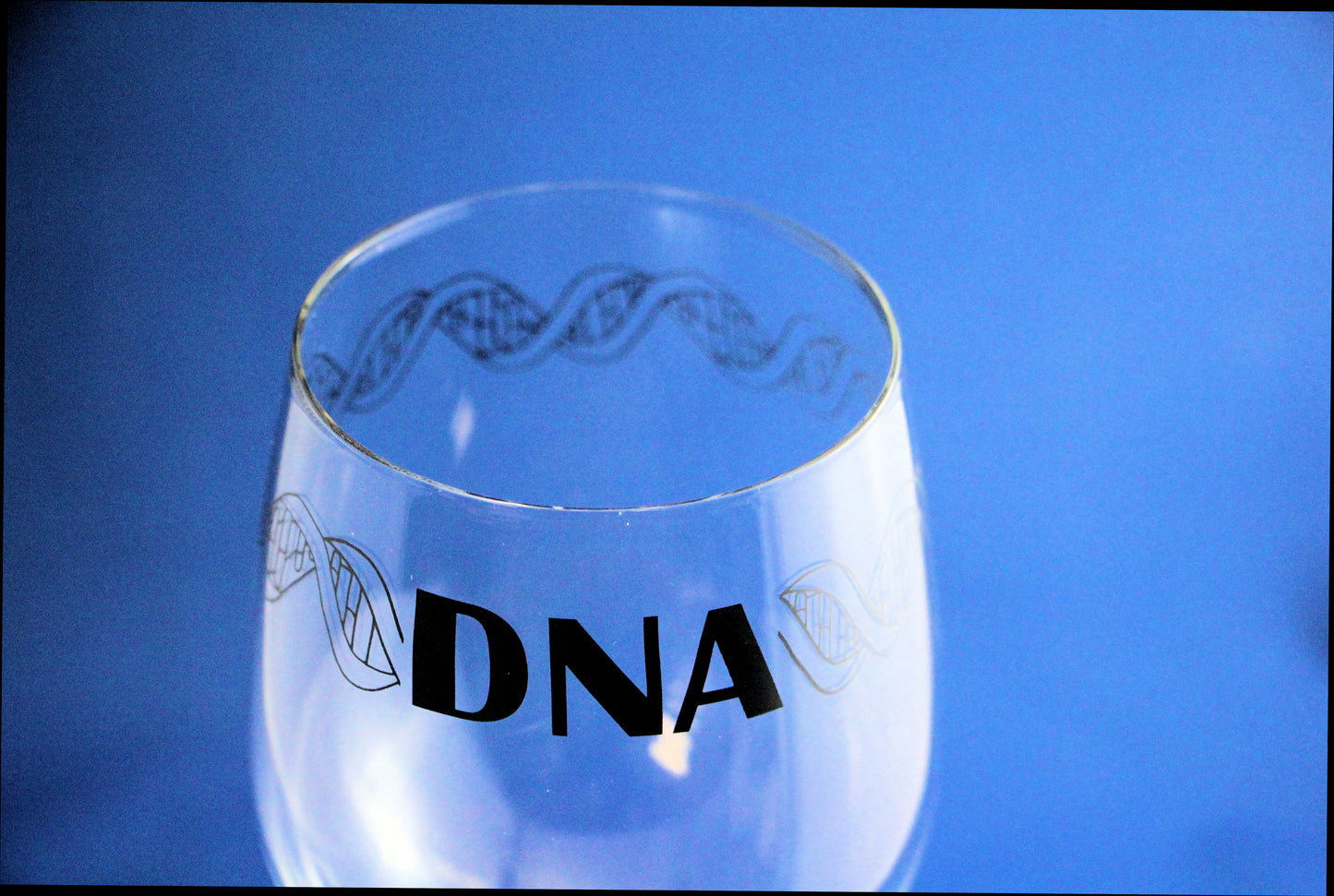 DNA Wine Glass