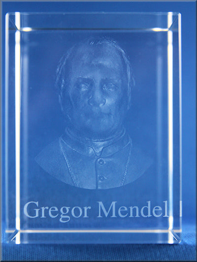 Gregor Mendel Cube