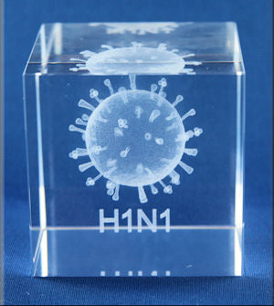 H1N1 Cube 2 (No Nucleus)