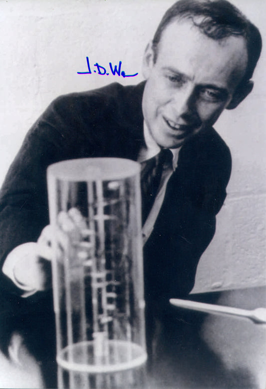 James Watson