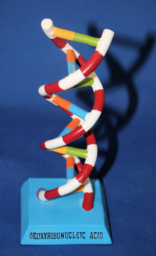 DNA Desk Statue