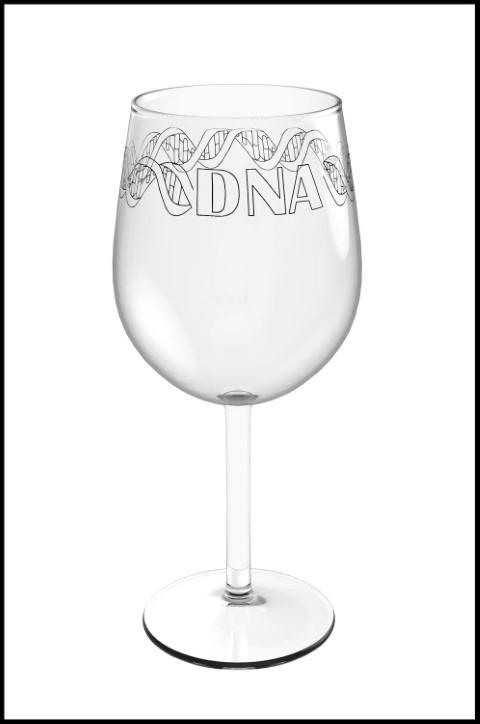 DNA Wine Glass